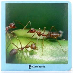 Animalitos