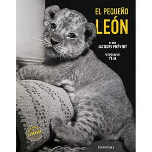 El Pequeño León