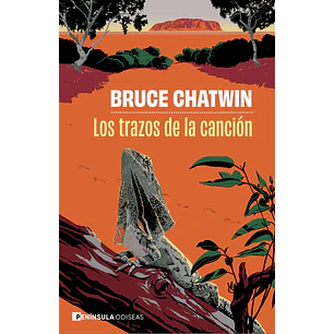 Los Trazos De La Canción