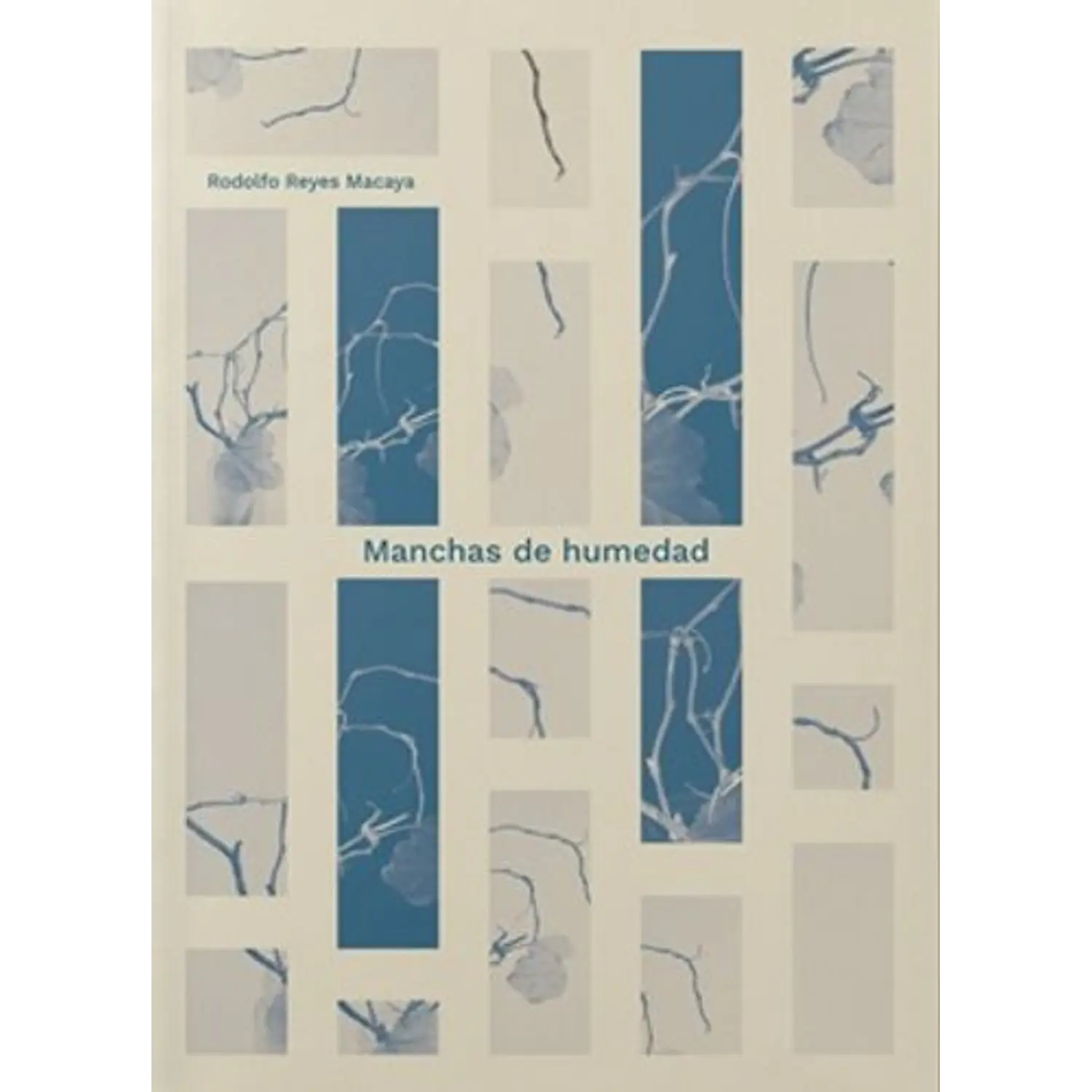 Manchas De Humedad