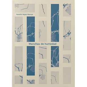 Manchas De Humedad
