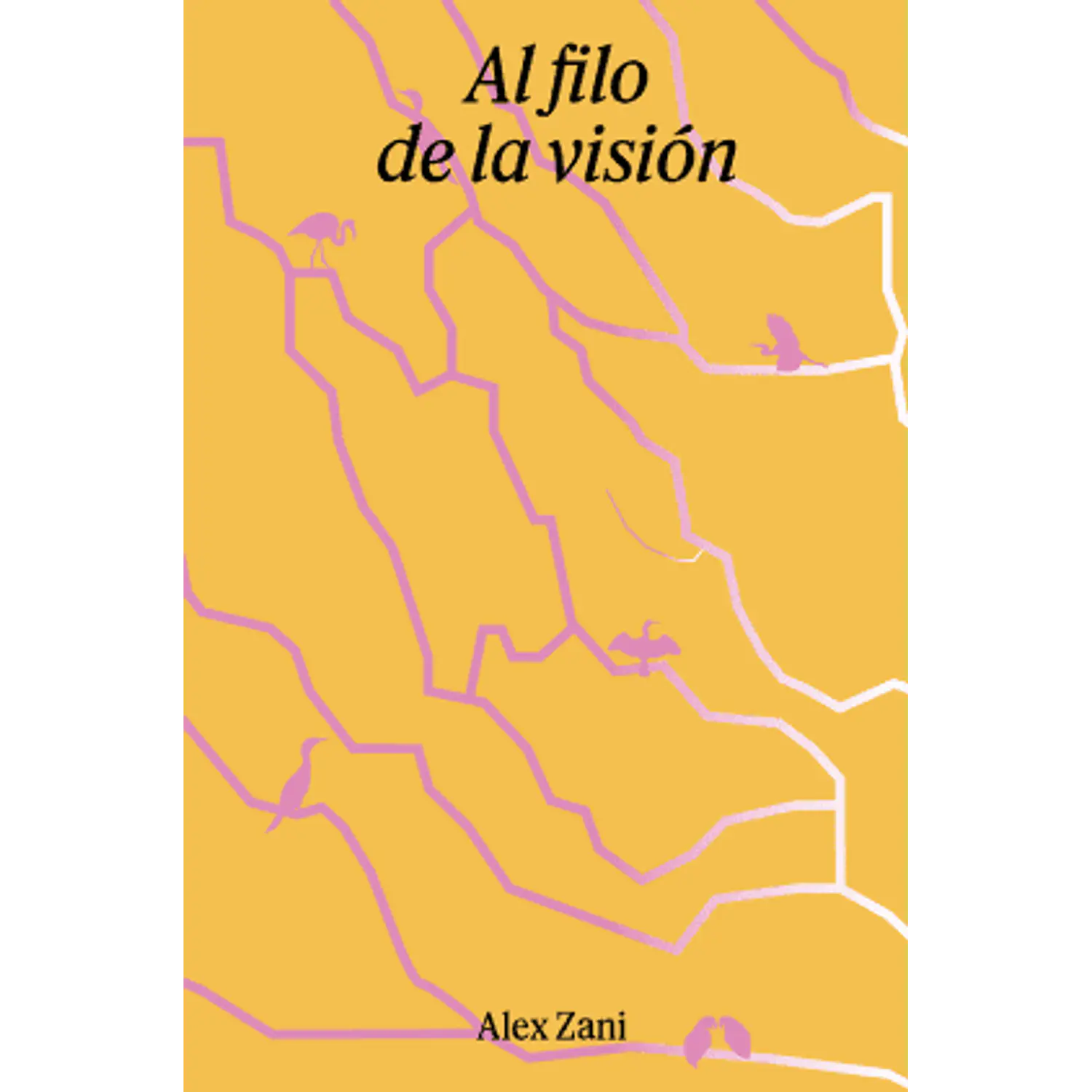 Al Filo De La Visión