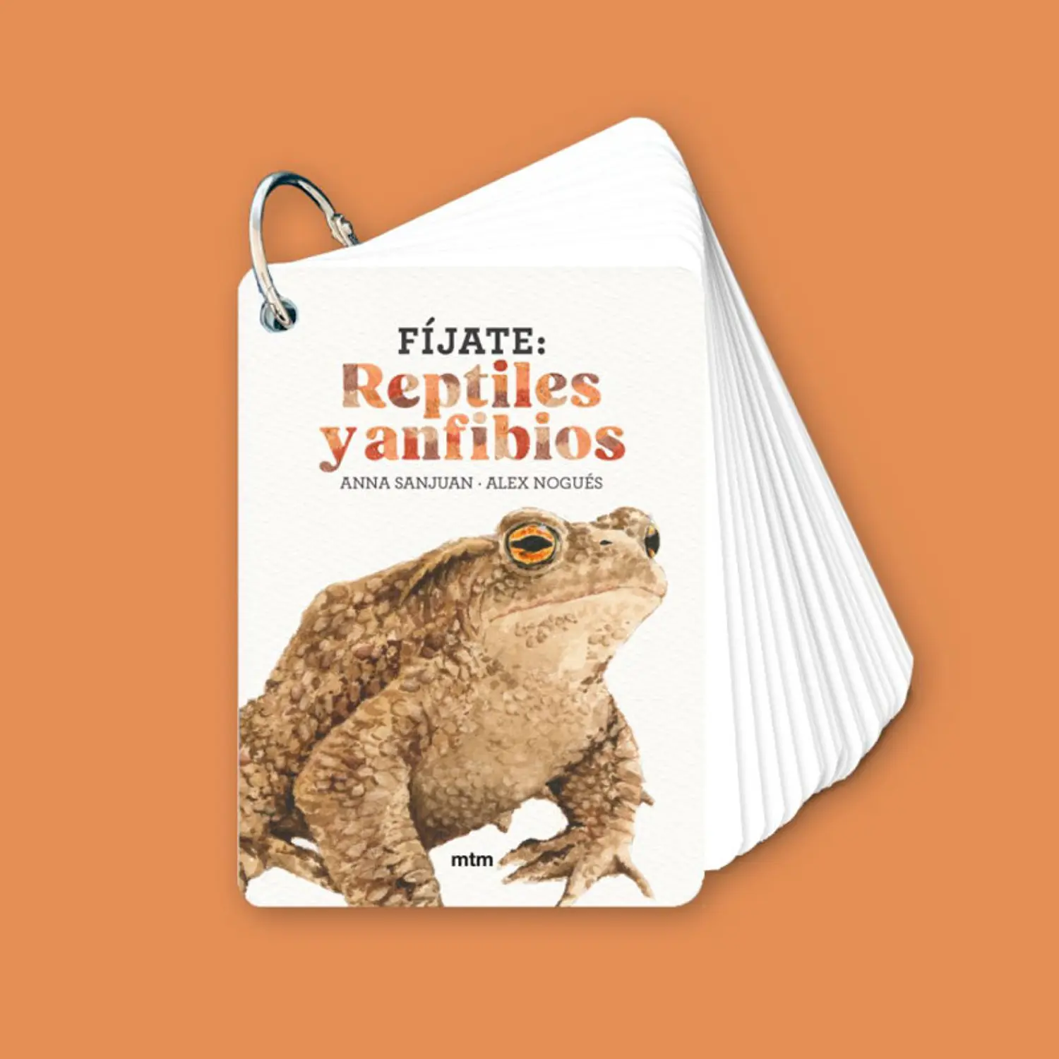 Fíjate - Reptiles Y Anfibios