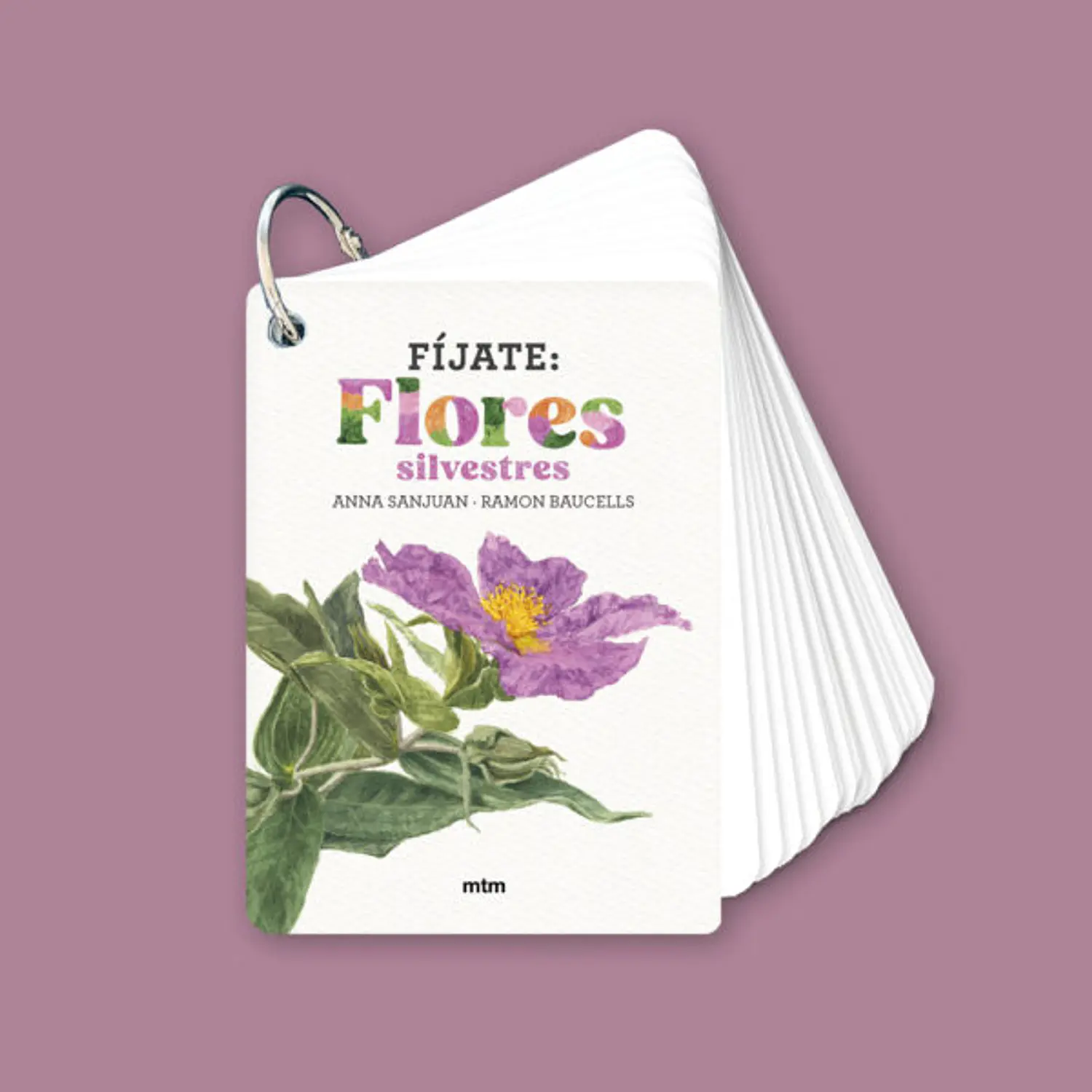 Fíjate - Flores