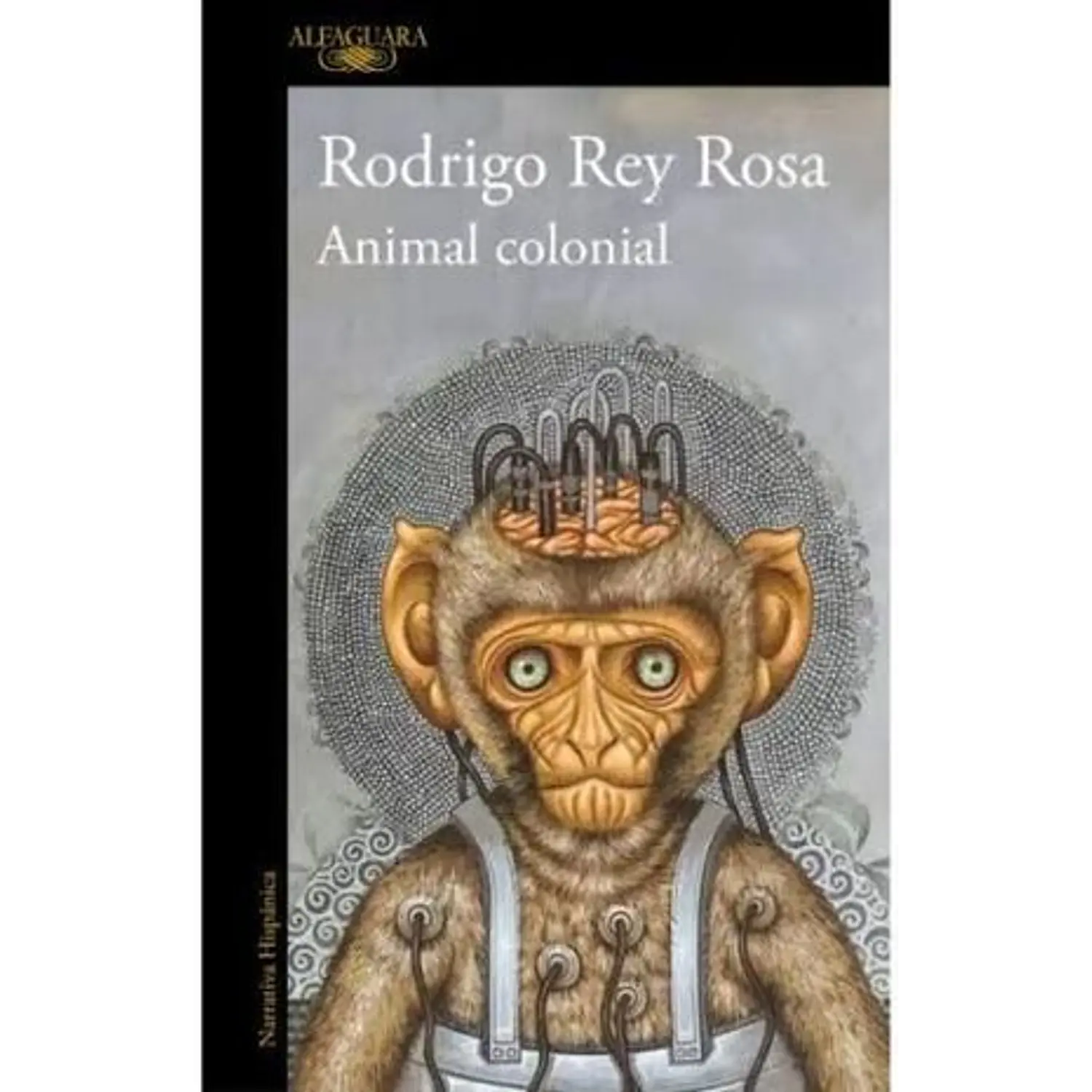 Animal Colonial