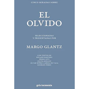 Cinco Miradas Sobre El Olvido