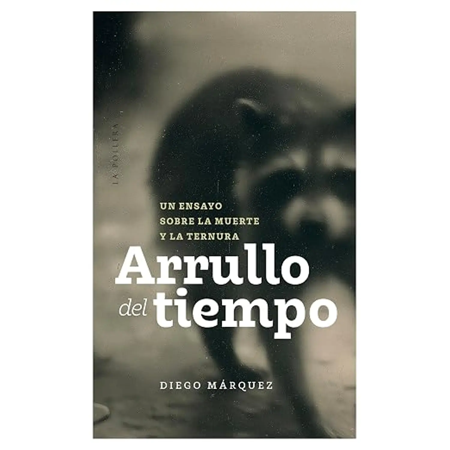 Arrullo Del Tiempo. Un Ensayo Sobre La Muerte Y La Ternura