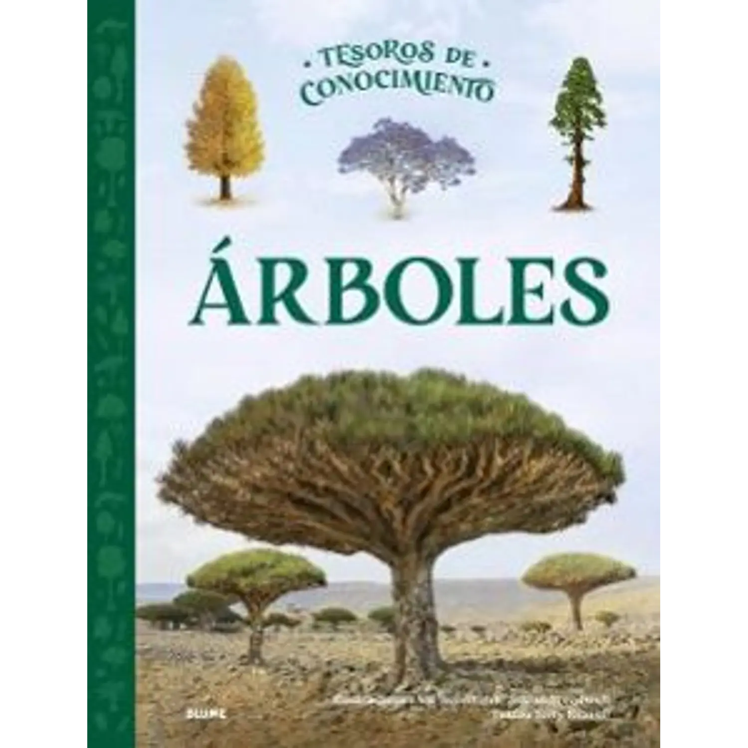 Tesoros De Conocimiento - ÁRboles