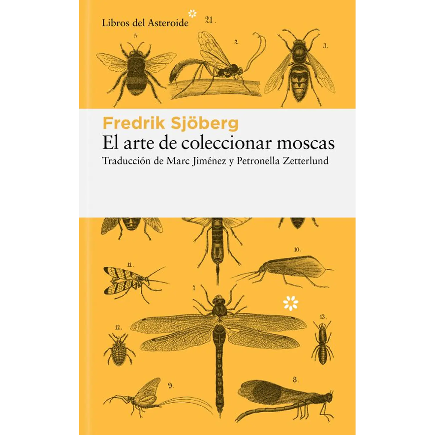 El Arte De Coleccionar Moscas