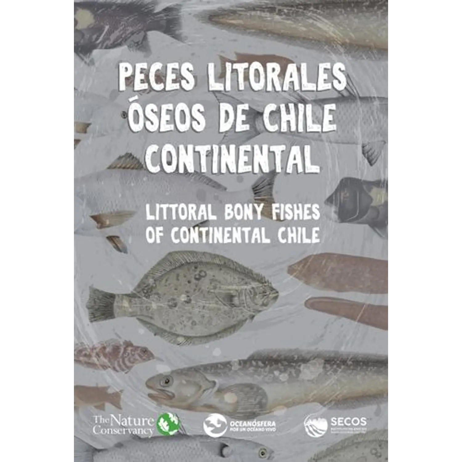 Peces Litorales Oseos De Chile Continental