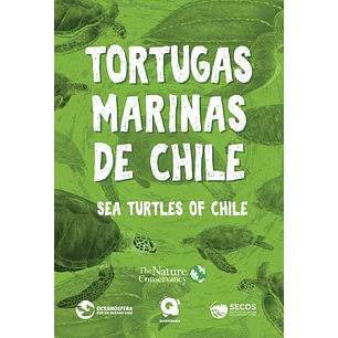 Tortugas Marinas De Chile