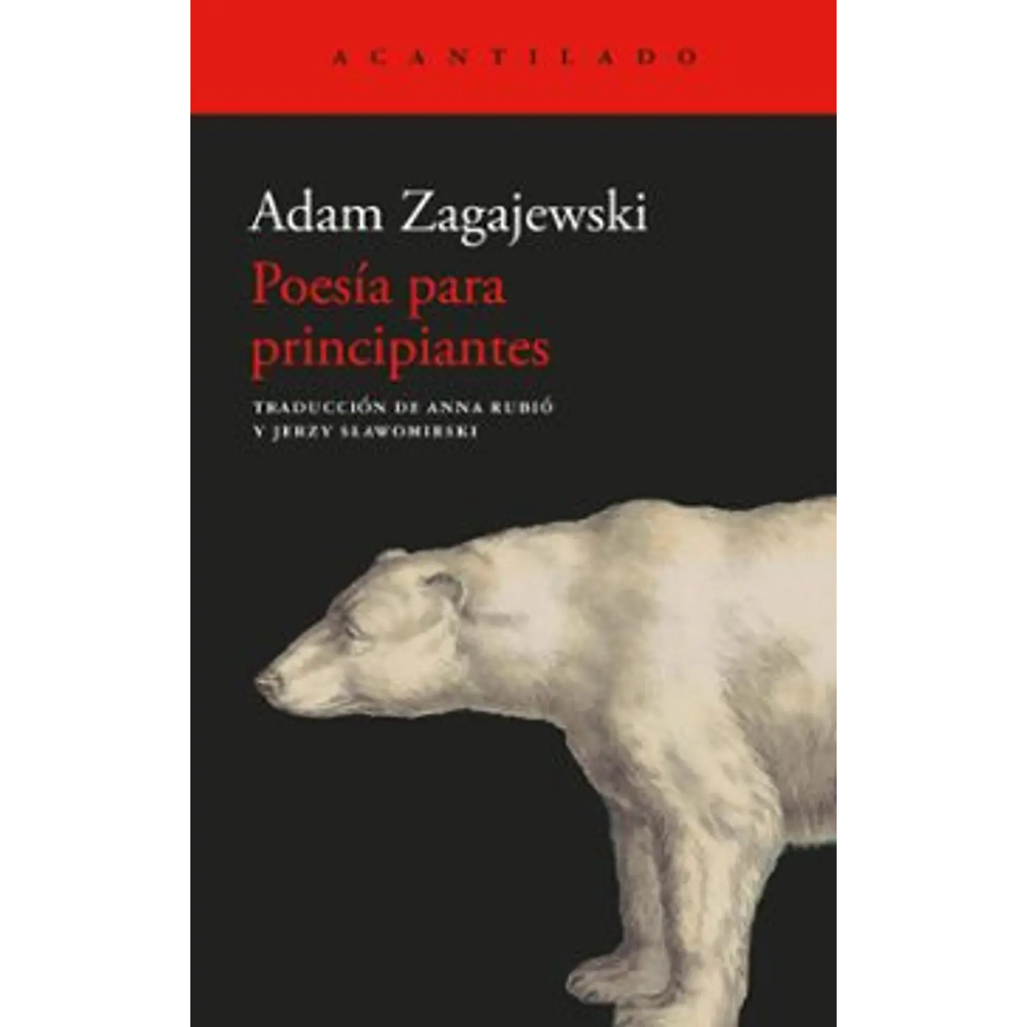 Poesía Para Principiantes