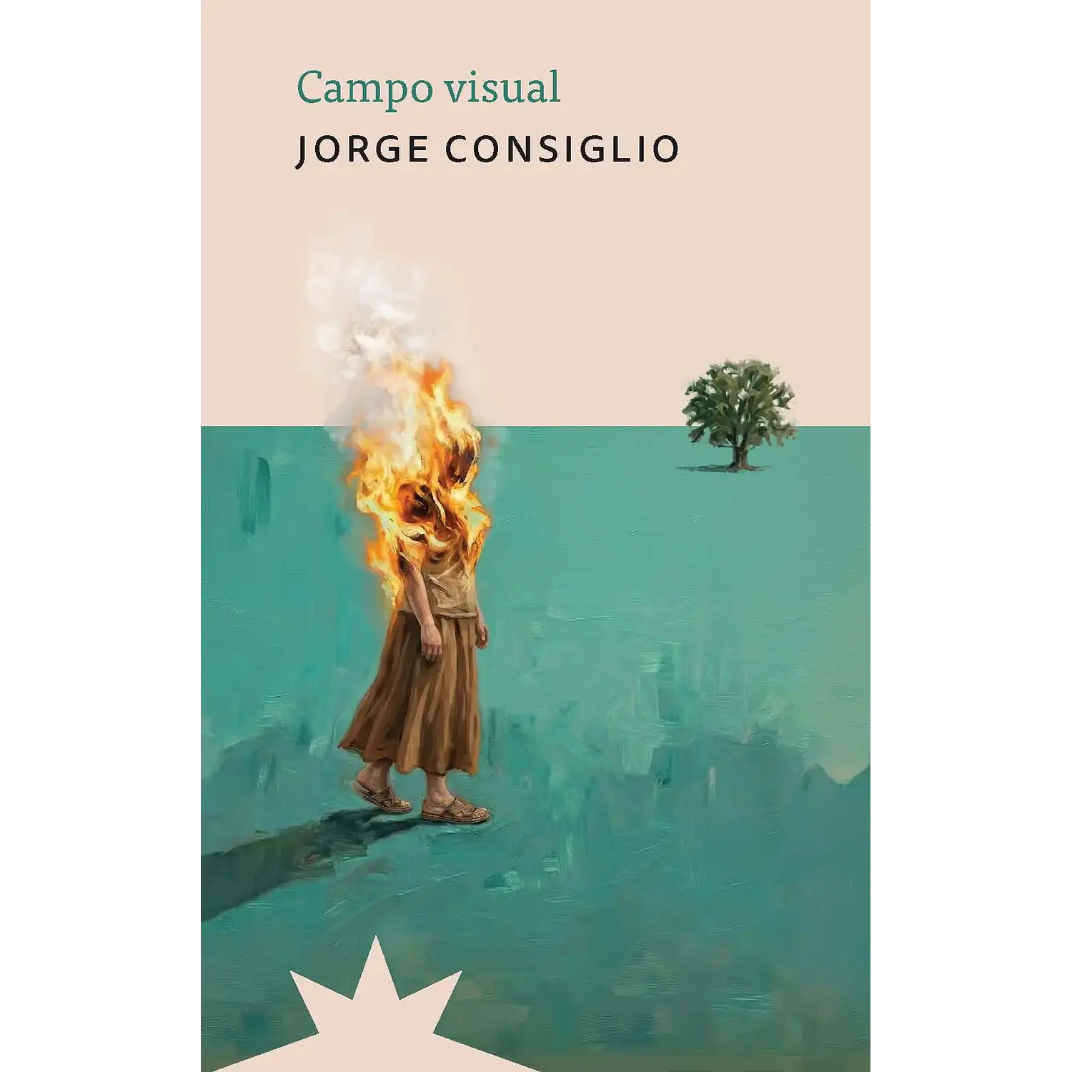 Campo Visual