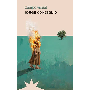 Campo Visual