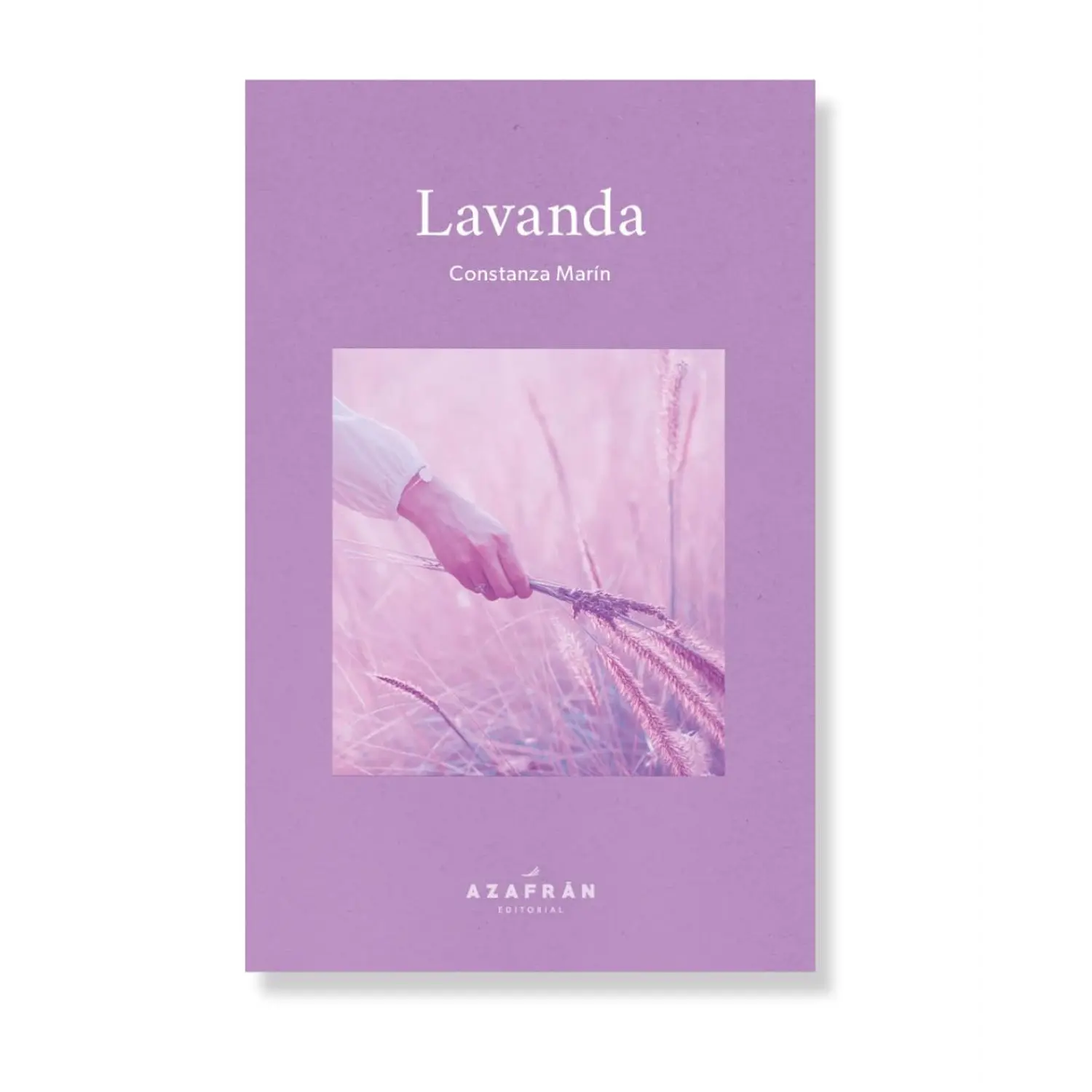 Lavanda