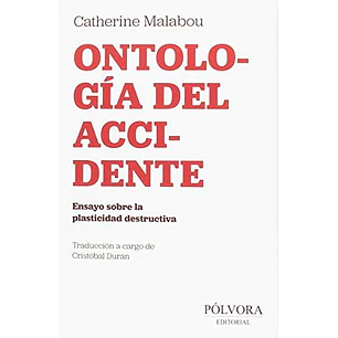 Ontología Del Accidente