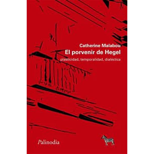 El Porvenir De Hegel
