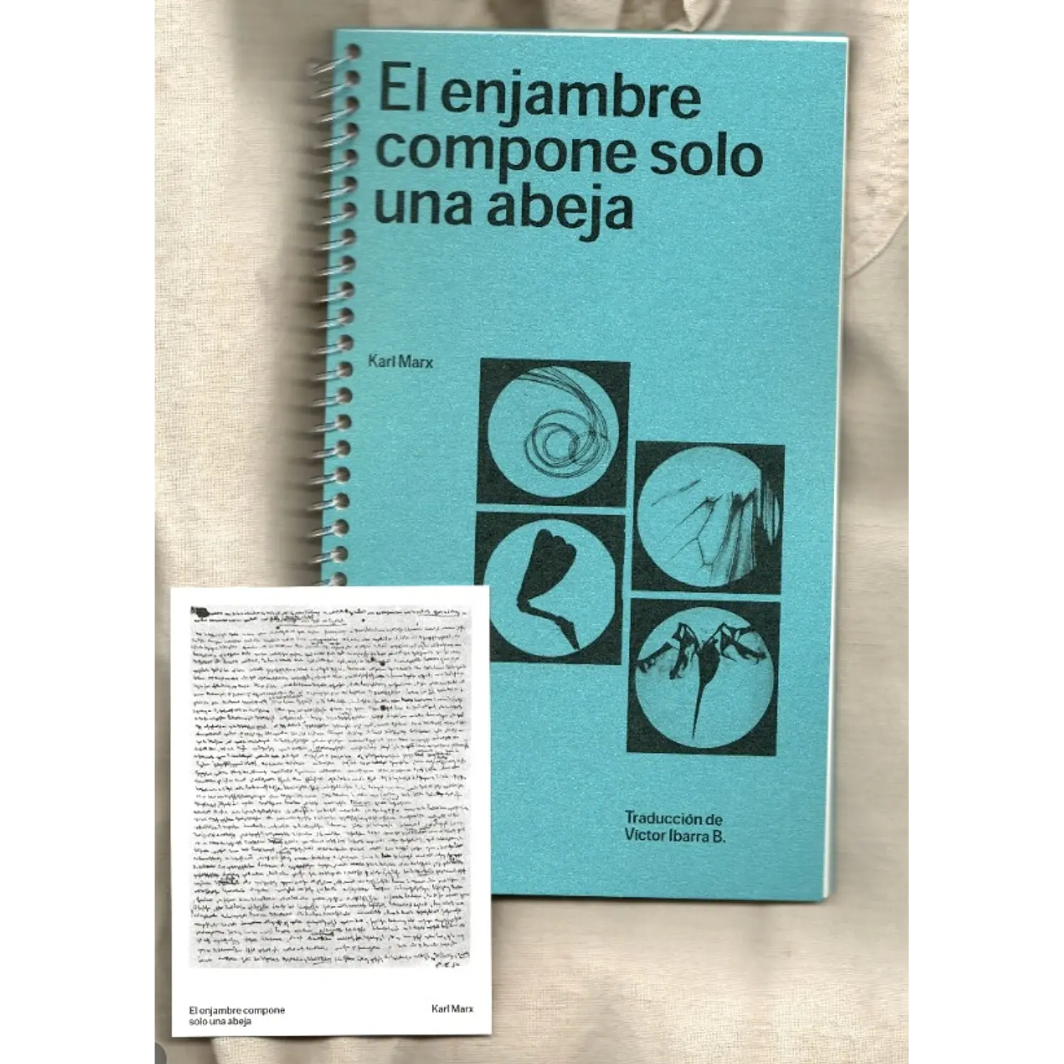 El Enjambre Compone Solo Una Abeja