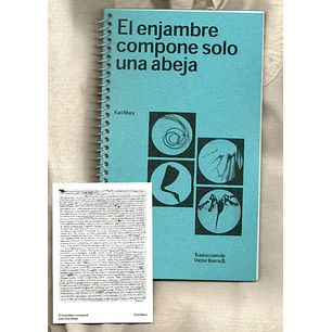 El Enjambre Compone Solo Una Abeja