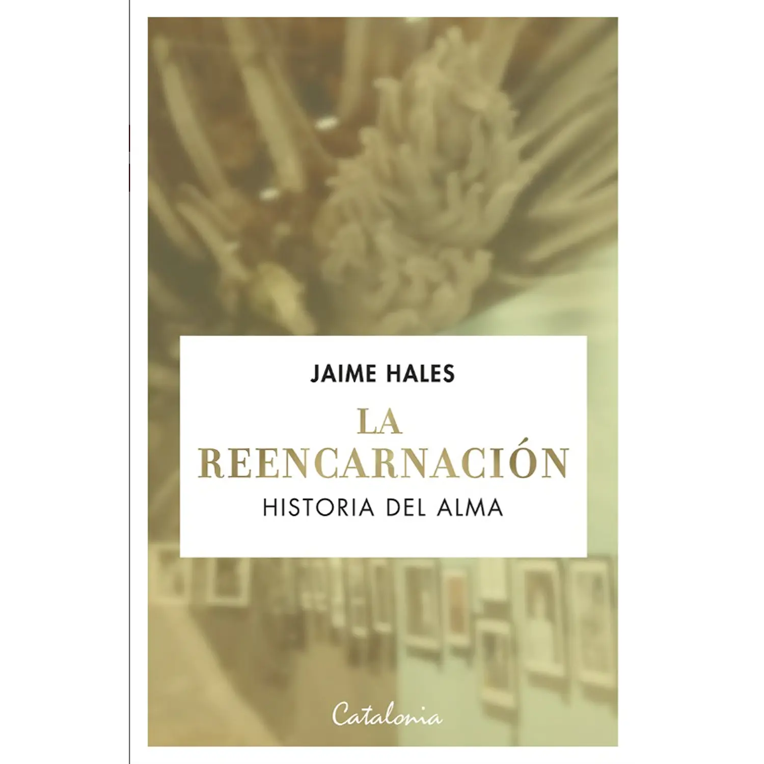 La Reencarnación - Historia Del Alma