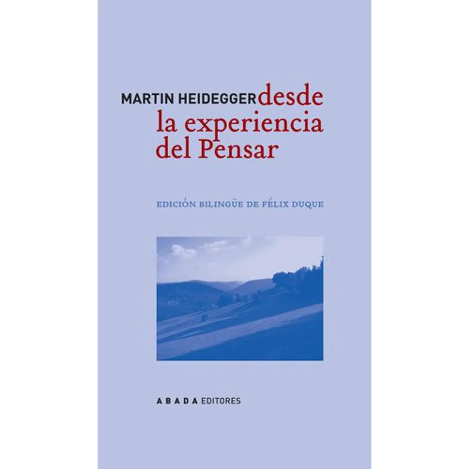 Desde La Experiencia Del Pensar