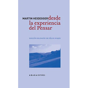Desde La Experiencia Del Pensar