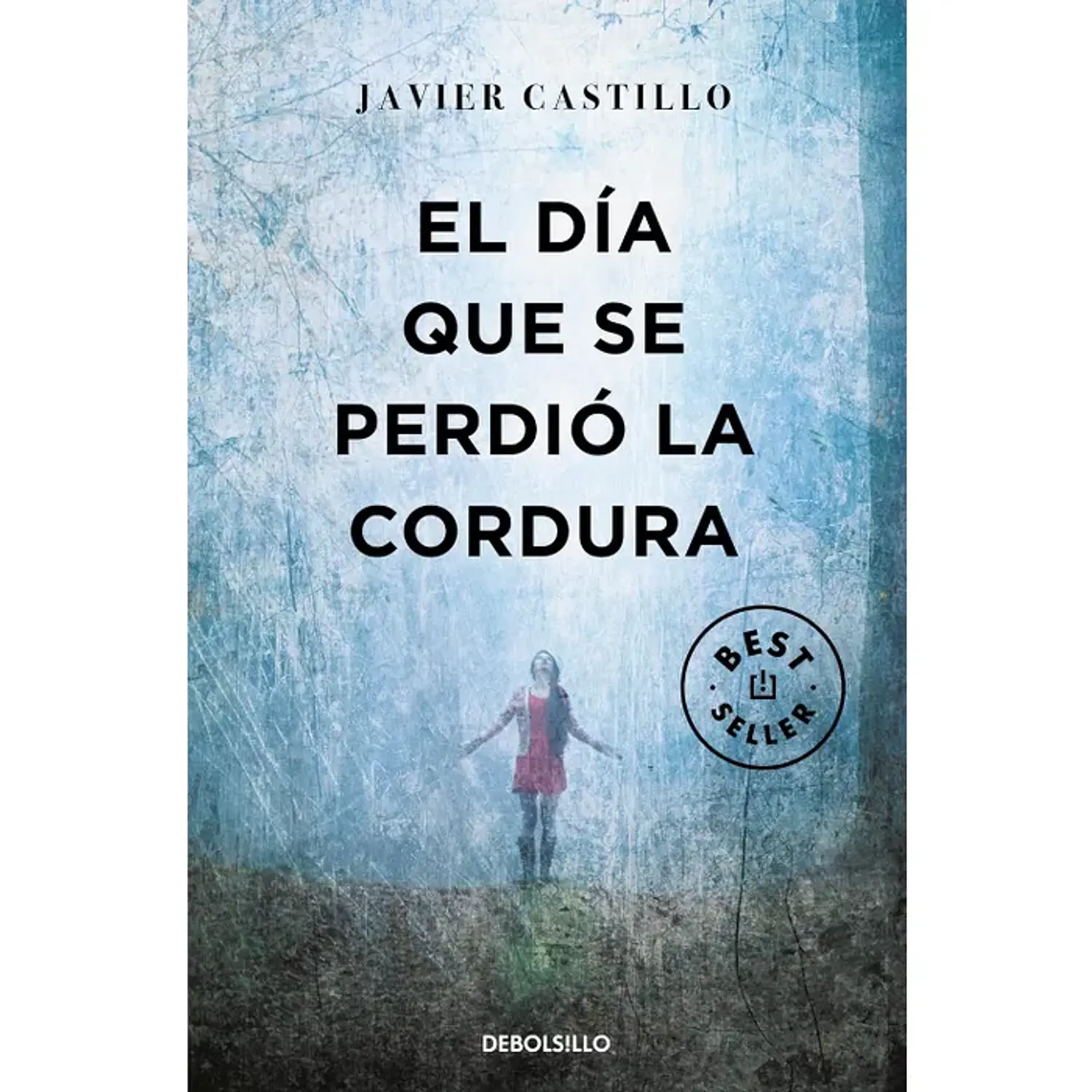 El Día Que Se Perdió La Cordura
