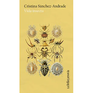 Vida Insecta