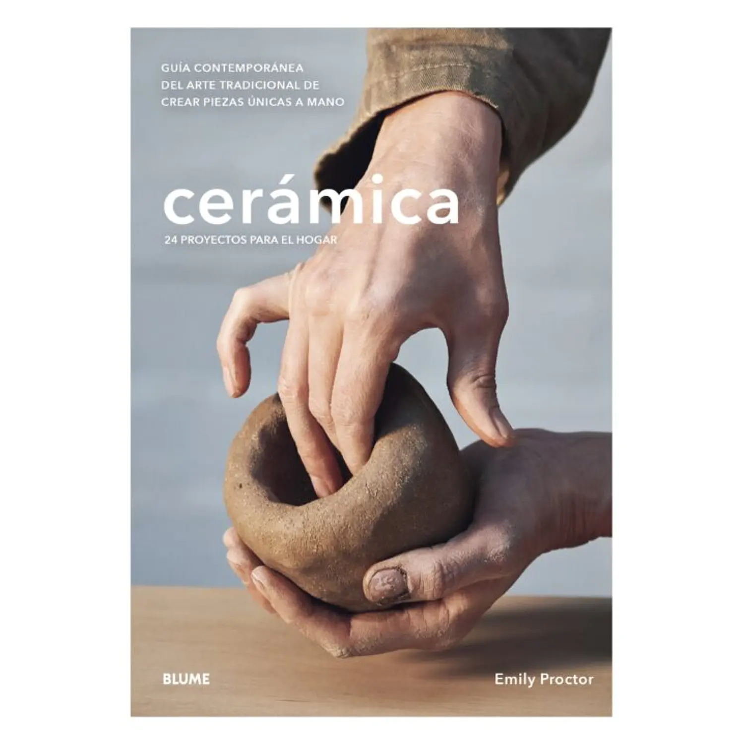 Cerámica. 24 Proyectos Para El Hogar