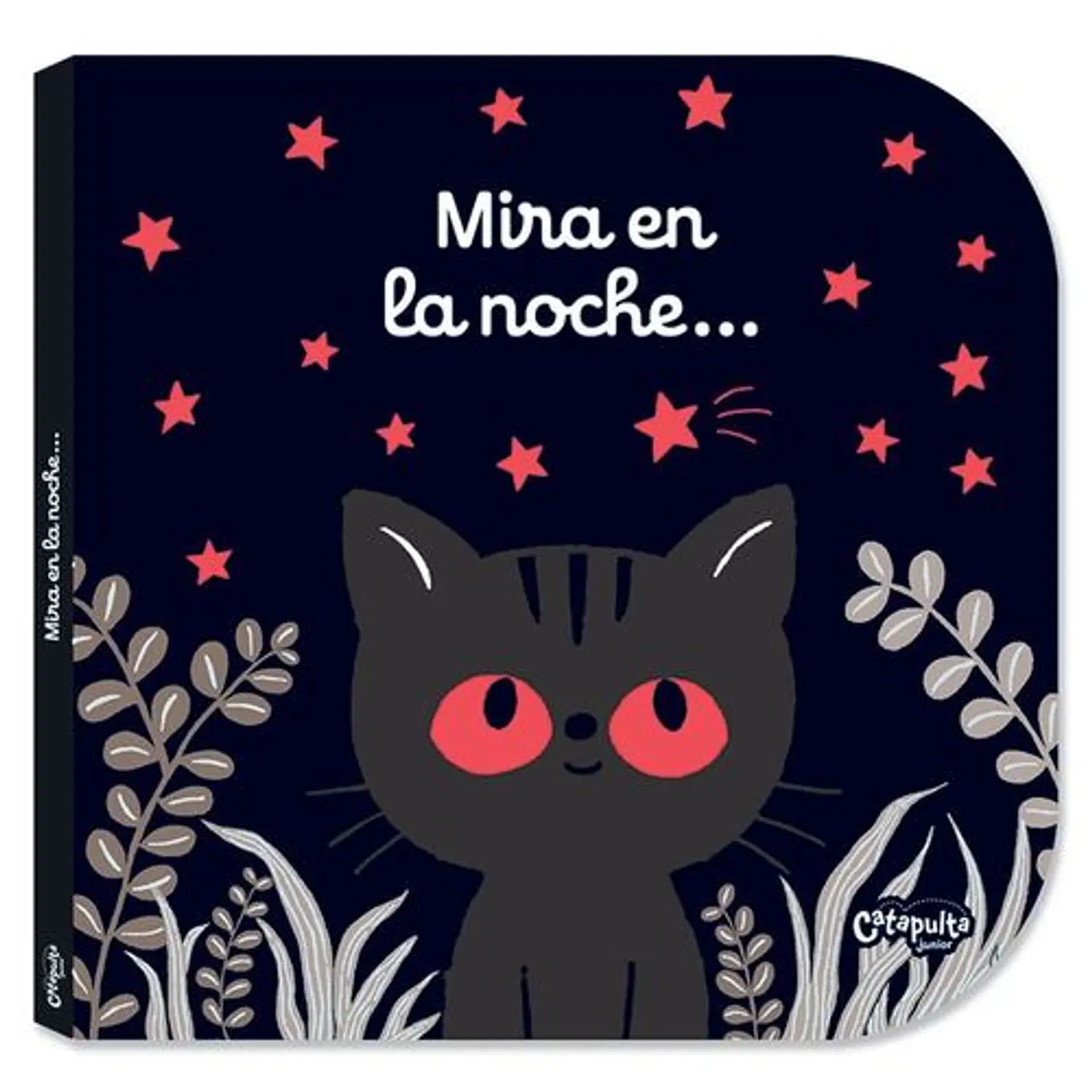 Mira En La Noche