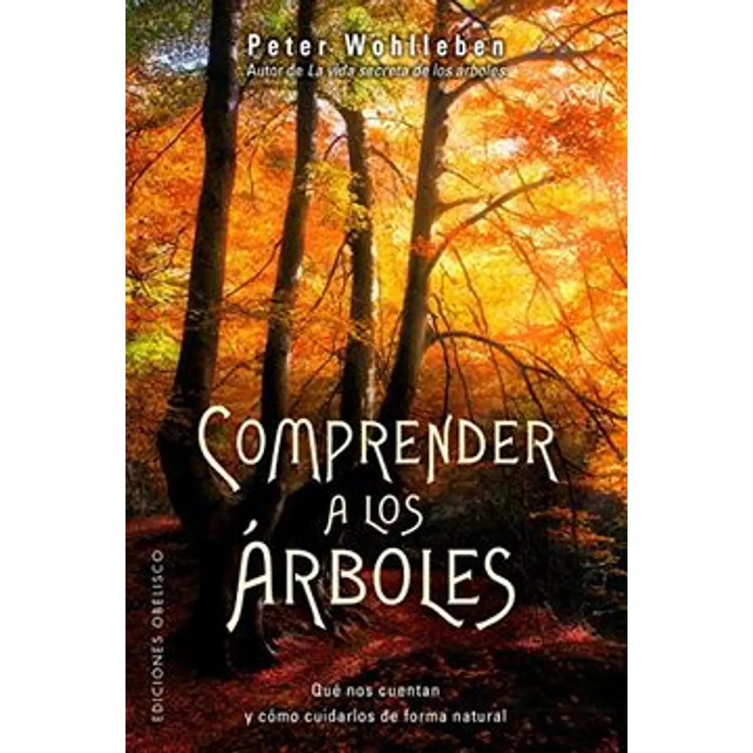 Comprender A Los ÁRboles