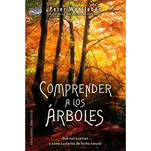 Comprender A Los ÁRboles