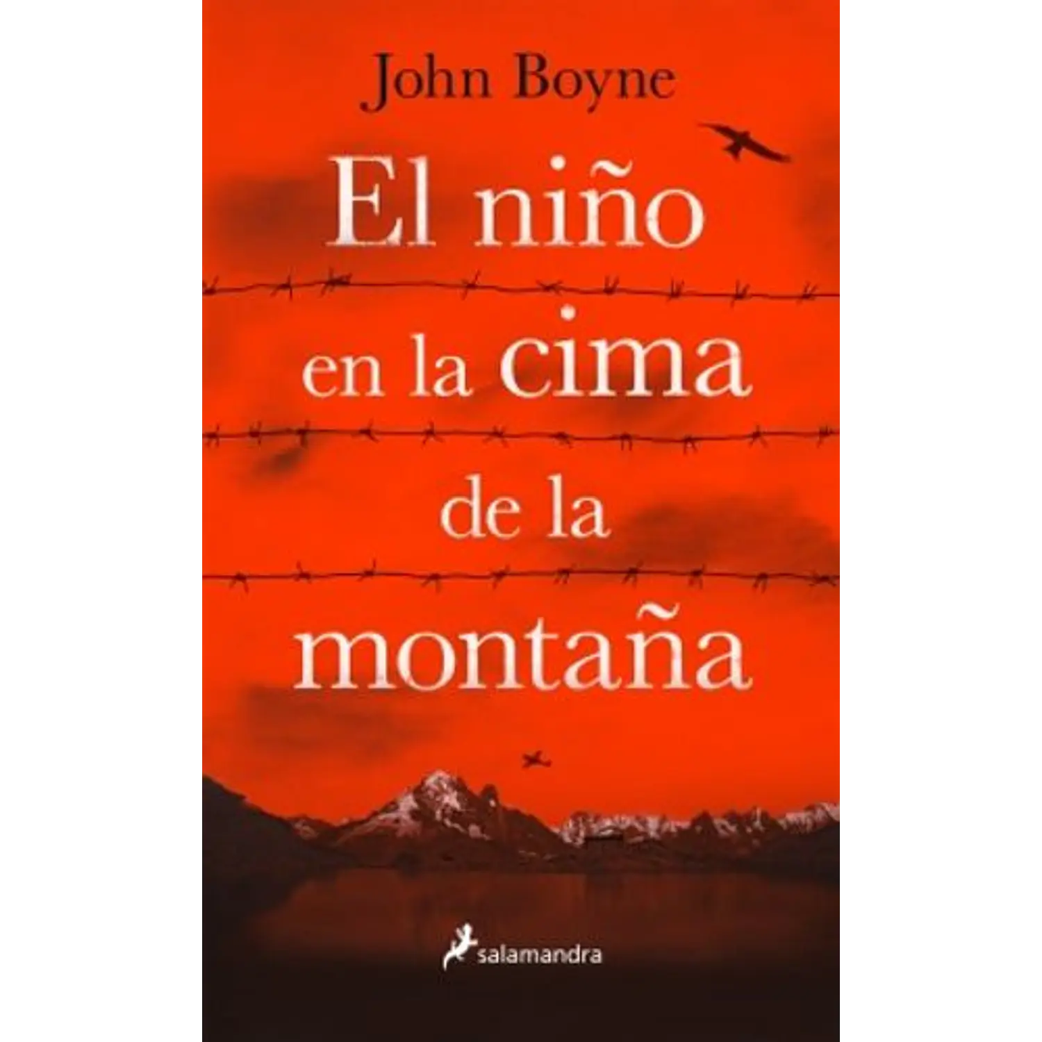 El Niño En La Cima De La Montaña