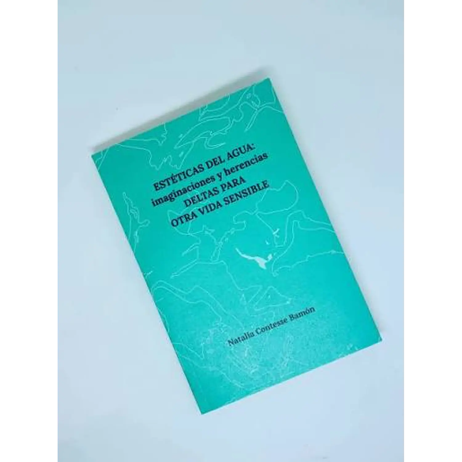 Estéticas Del Agua: Imaginaciones Y Herencias Deltas Para Otra Vida Sensible