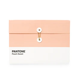 CARPETA SOBRE PANTONE PEACH RHEIN