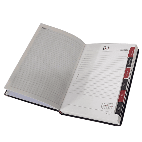 AGENDA CARPE DIEM 24 LISA NEGRA indice dia x pag