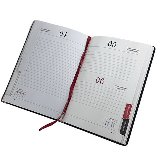 AGENDA CARPE DIEM 24 LISA NEGRA indice dia x pag