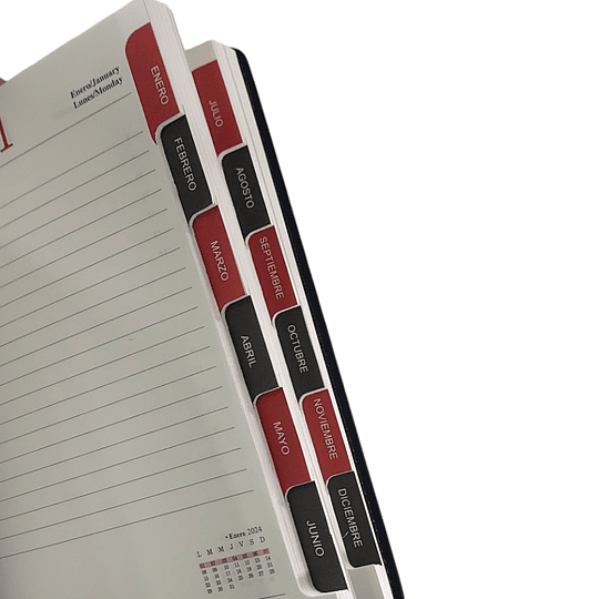 AGENDA CARPE DIEM 24 LISA NEGRA indice dia x pag