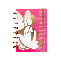 CUAD DISCOS A5 80 hj MOVING LOOP MINNIE