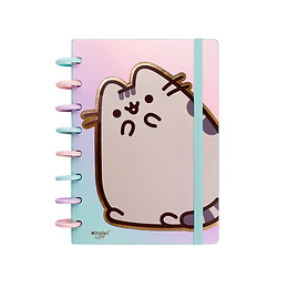 CUAD DISCOS A5 80 hj MOVING LOOP PUSHEEN