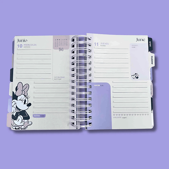 AGENDA ESPIRAL 14x20 MINNIE MOOVING DxP