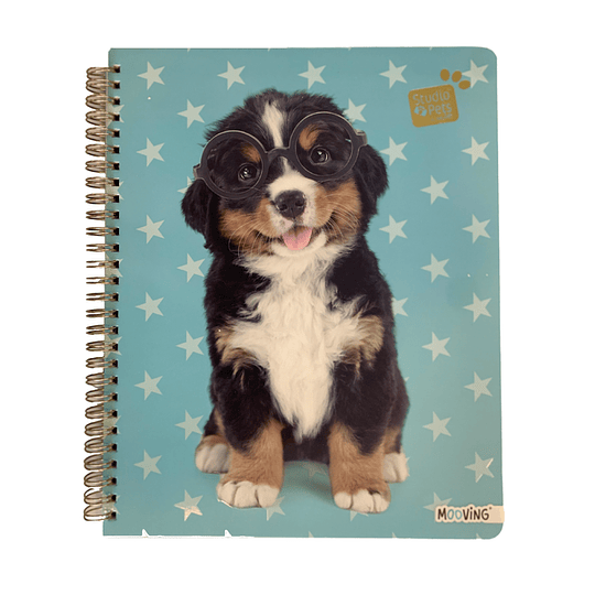 CUAD UNIV 100hj 7MM STUDIO PETS MOOVING