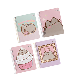 CUAD 1/2 OF 120hj 5mm 3 MATERIAS PUSHEEN MOOVING 