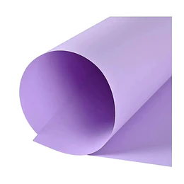 CARTULINA ESPANOLA LILA 50x70 TORRE