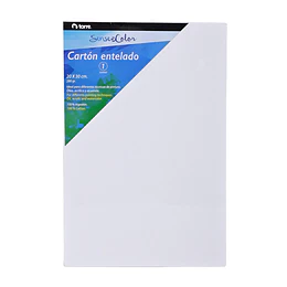 CARTON ENTELADO 20x30 TORRE