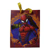 BOLSA REGALO SPIDERMAN 23x18x10