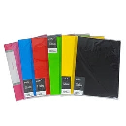 CARPETA C/30 FUNDAS A4  OFFIX