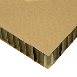 CARTON PANAL 20 mm  77x110 