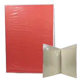 CARPETA PLASTIFICADA ROJO