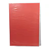 CARPETA PLASTIFICADA ROJO